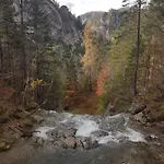 Apartment Buergeralpe