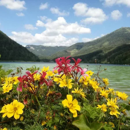 Buergeralpe Apartamento Mariazell