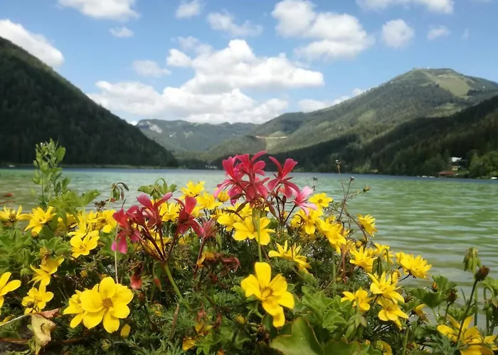 Buergeralpe 公寓 玛利亚采尔