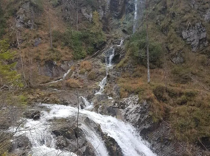 Buergeralpe Mariazell